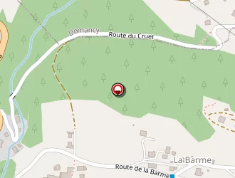 Carte de Patregnani Patrice à Combloux