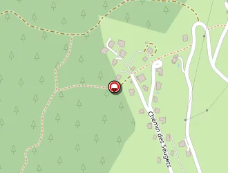 Carte de Porret Thierry à Combloux