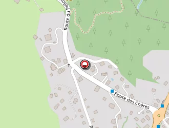 Carte de Chatron-michaud Didier à Combloux