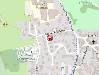 Carte de Les Pizzas De Mimi à Meximieux