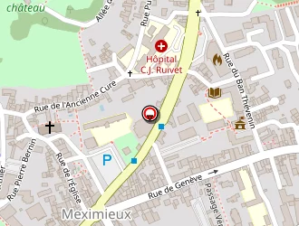 Carte de Vieilly Patrick à Meximieux