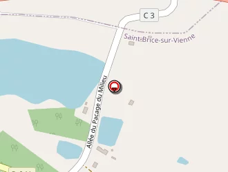 Carte de Bacle Sylvie à Saint-brice-sur-vienne