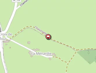 Carte de Levigne Loïc à Saint-romain-d'urfé