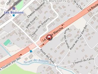 Carte de Gramond Eric à Chamonix-mont-blanc