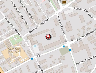 Carte de Focus à Annecy-le-vieux