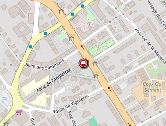 Carte de Bien-etre Kiné à Annecy