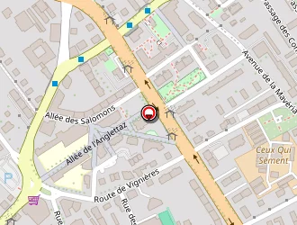 Carte de Artys à Annecy