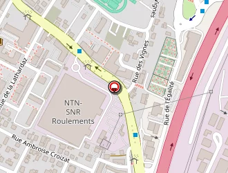 Carte de Guizzi Robert à Meythet