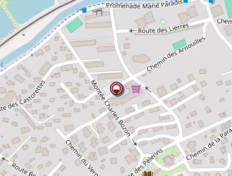 Carte de Stephane Sébastien à Chamonix-mont-blanc