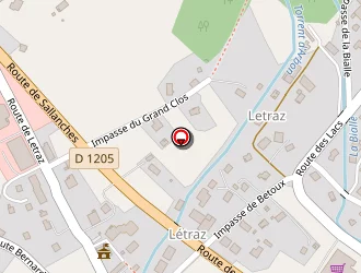 Carte de Revenaz Roger à Domancy