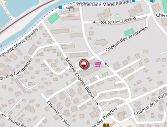 Carte de Boudjemaa Brahim à Chamonix-mont-blanc