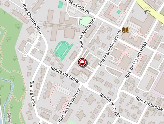 Carte de Munck Billy à Meythet