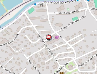 Carte de Chaize Orianne à Chamonix-mont-blanc