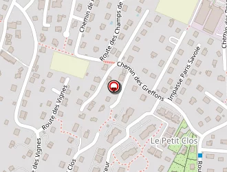 Carte de Geneste Patricia à Poisy