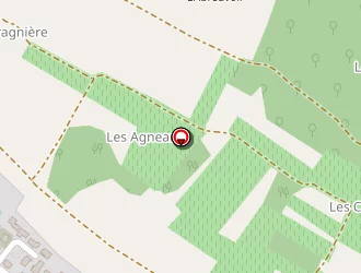 Carte de Bodin Jérome à Dolus-d'oléron