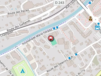 Carte de Collineige à Chamonix-mont-blanc