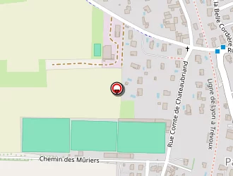 Carte de Stade Georges Richard à Parcieux