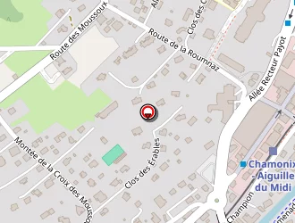 Carte de Hakuno Michiko à Chamonix-mont-blanc