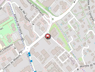 Carte de Momo Electro à Annecy