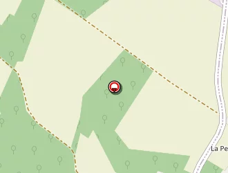 Carte de Desouche Patrick à Juillé