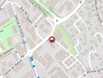 Carte de Dufour Michel à Annecy