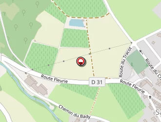 Carte de Diminu Tif à Saint-vérand