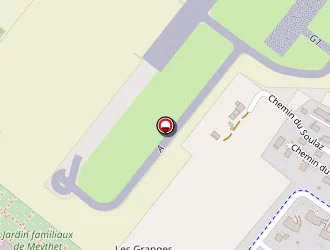 Carte de Radice Thierry à Meythet