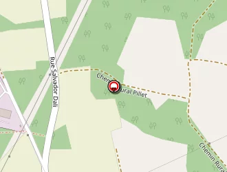 Carte de Centre Equestre Du Pillet à Limoges