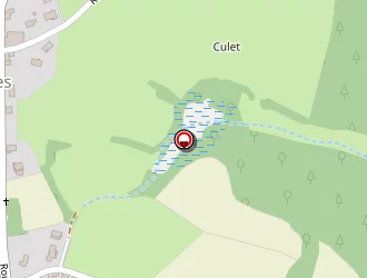 Carte de Tournus Laurent à Sauvages (les)