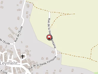 Carte de Fauvet Francis à Leyment