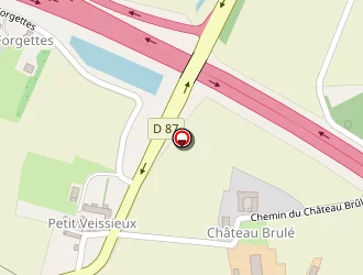 Carte de Patin Gérard à Quincieux