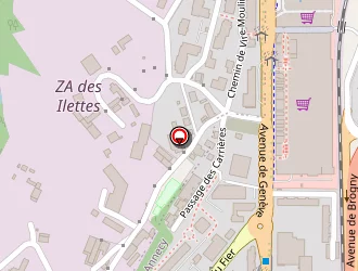 Carte de Diverty Events à Annecy