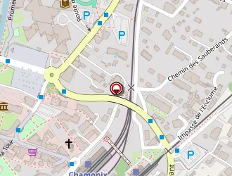 Carte de Goncellin Daniel à Chamonix-mont-blanc