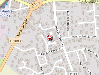 Carte de Soclam à Saint-andré-de-corcy