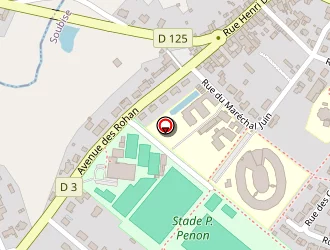 Carte de Complexe Sportif Penon à Soubise