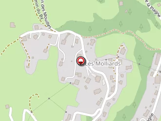 Carte de Pugnat Gaston à Cordon