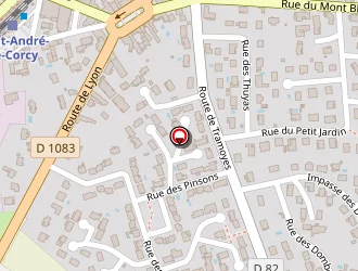 Carte de Pucelle Laure à Saint-andré-de-corcy