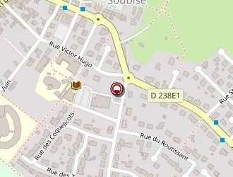 Carte de Sublim'ongle'sev à Soubise