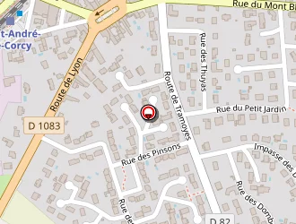 Carte de Travessa à Saint-andré-de-corcy