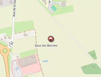 Carte de Franchini Michel à Reyrieux