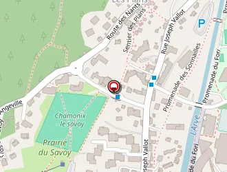 Carte de Chamonixten 80 à Chamonix-mont-blanc