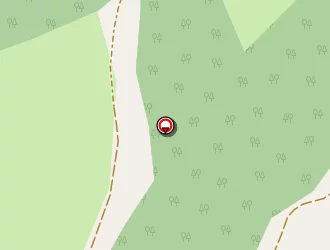 Carte de Rolland Bruno à Clusaz (la)