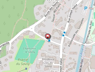 Carte de Impulsion Conseil Et Formation à Chamonix-mont-blanc