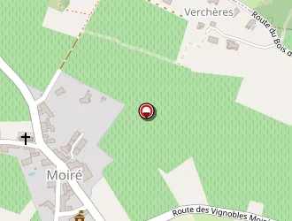 Carte de La Ribambelle à Moiré