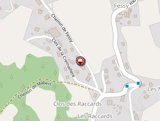 Carte de Garage Steph Auto à Sallanches