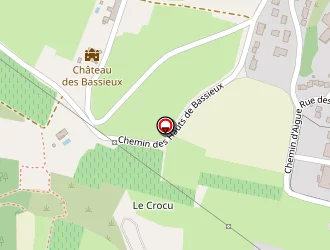 Carte de Janez Ludovic à Anse