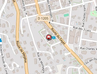 Carte de Tesseyre Massoglia à Sallanches