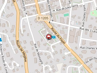 Carte de Drouet Frédéric à Sallanches