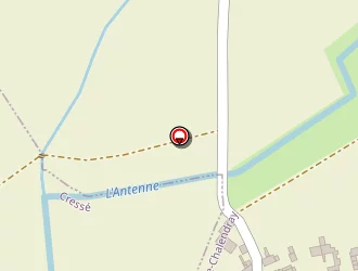 Carte de Mercier Jacques à Fontaine-chalendray