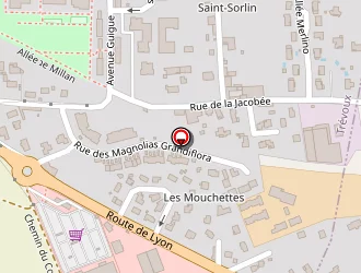 Carte de Charpente Socchi à Trévoux